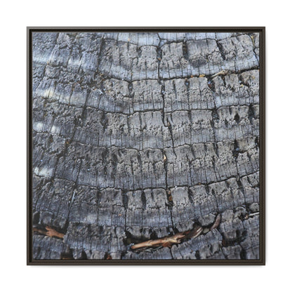 Charred Memories - Unique Stretched Canvas Wall Art - Art By Earth