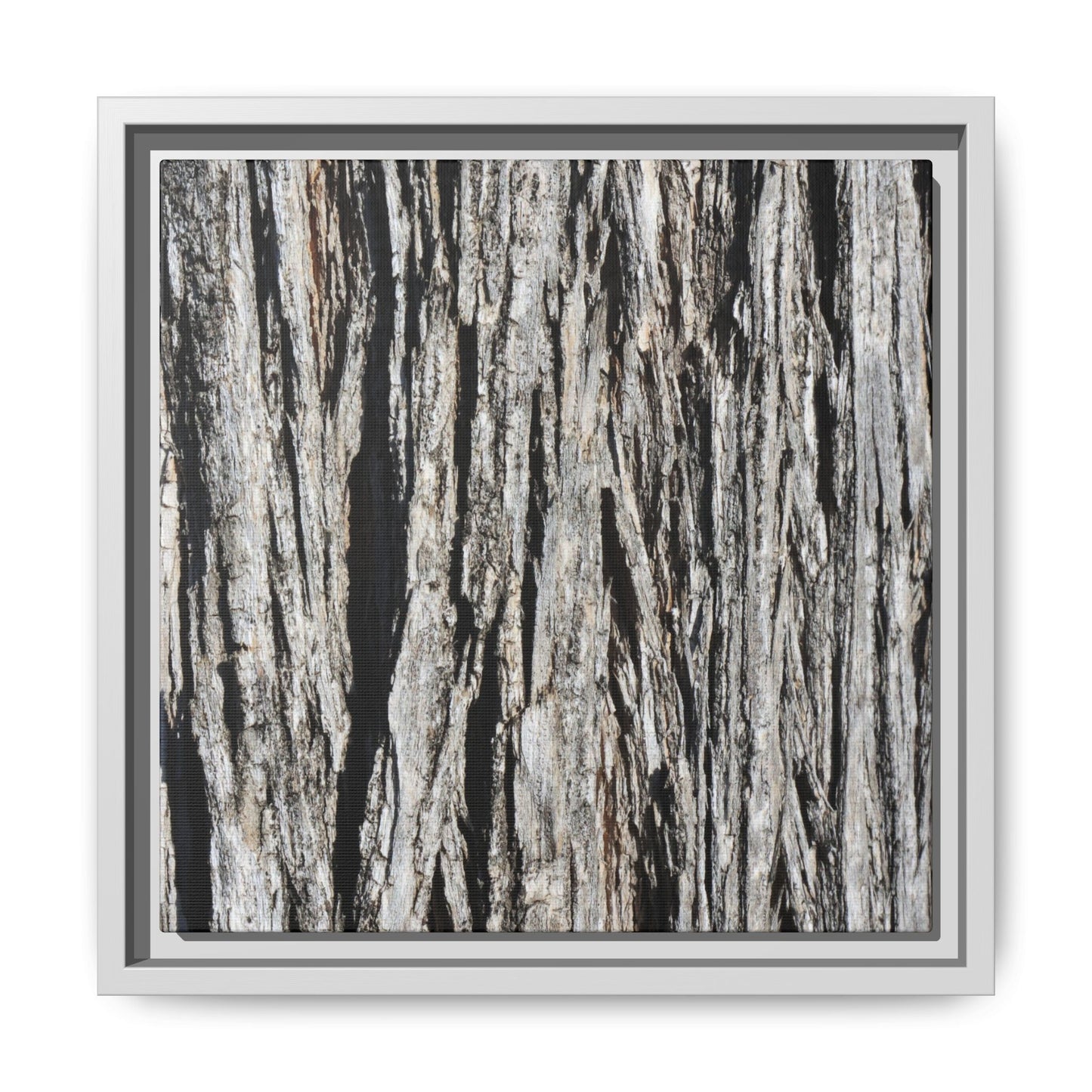 Nature's Abstract - Unique Stretched Canvas Wall Art - Art By Earth