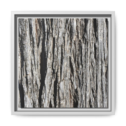 Nature's Abstract - Unique Stretched Canvas Wall Art - Art By Earth
