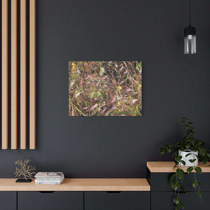 Autumn Wildflower Meadow in Transition - Unique Frameless Canvas Wall Art - Art By Earth
