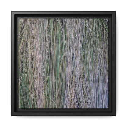 Whispers of Silver Grass - Unique Stretched Canvas Wall Art - Art By Earth