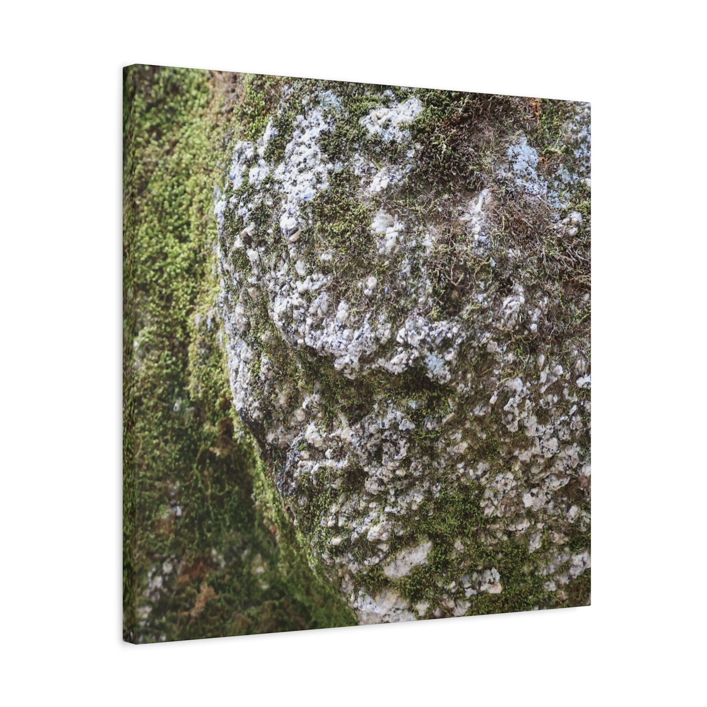Moss and Stone Whispers - Unique Frameless Canvas Wall Art - Art By Earth
