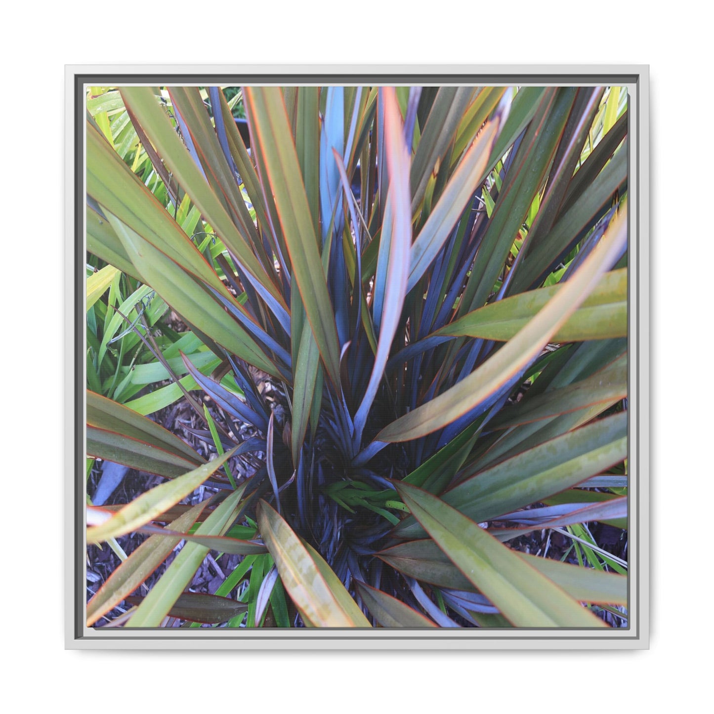 Radiant Leaves - Unique Stretched Canvas Wall Art - Art By Earth