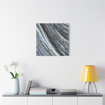 Weathered Wood Grain - Unique Frameless Canvas Wall Art - Art By Earth
