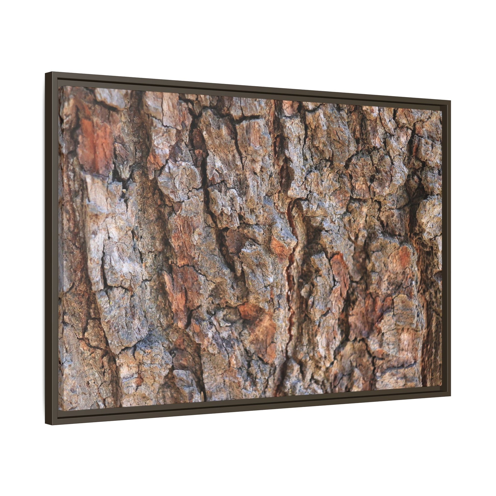 Tree's Timeworn Tale - Unique Stretched Canvas Wall Art - Art By Earth