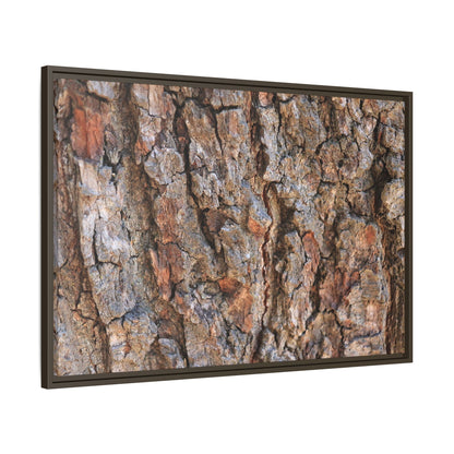 Tree's Timeworn Tale - Unique Stretched Canvas Wall Art - Art By Earth