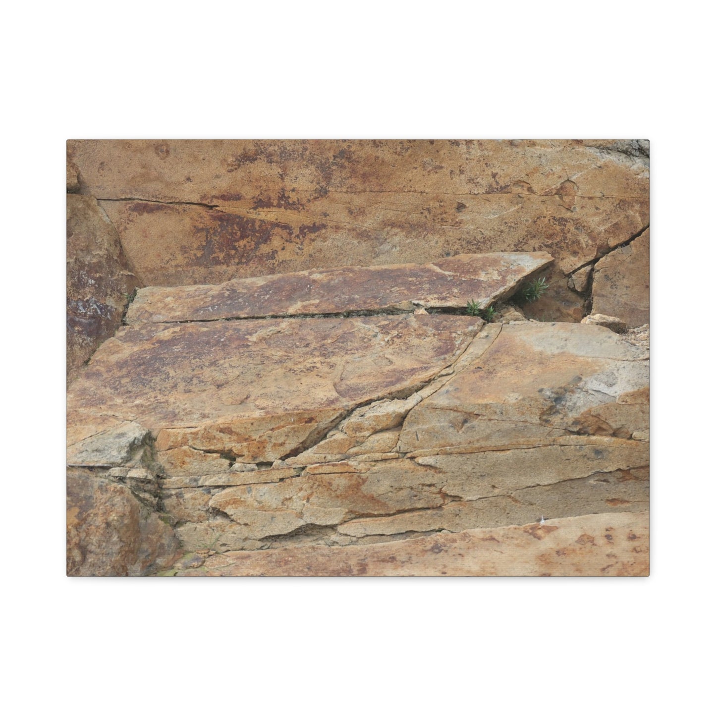 Rocky Terrain - Unique Frameless Canvas Wall Art - Art By Earth