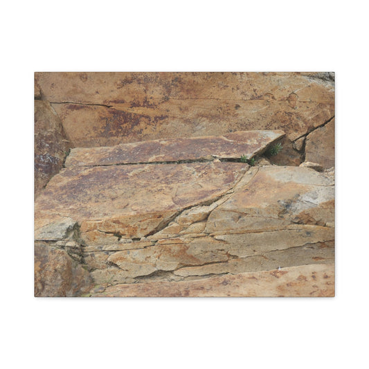 Rocky Terrain - Unique Frameless Canvas Wall Art - Art By Earth