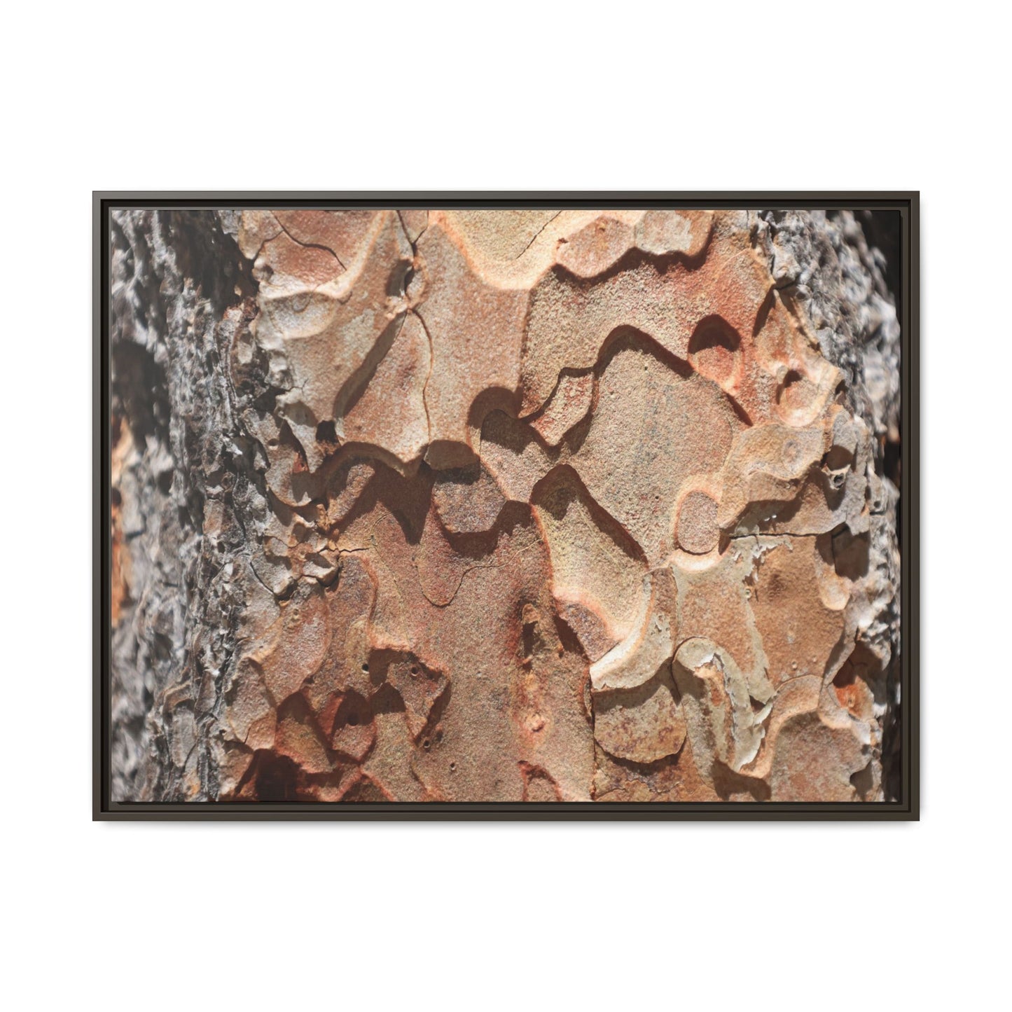 Rust and Stone - Unique Stretched Canvas Wall Art - Art By Earth