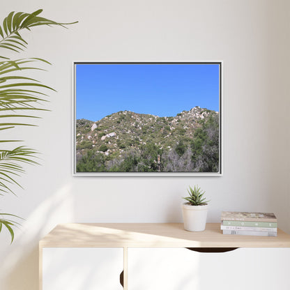 Sparse Vegetation - Unique Stretched Canvas Wall Art
