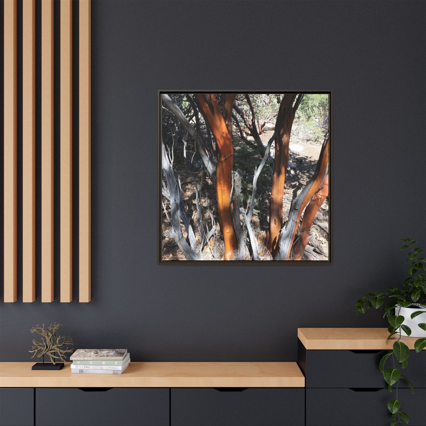 Eucalyptus Grove - Unique Stretched Canvas Wall Art