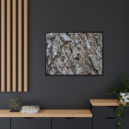 Woodland Canvas - Unique Stretched Canvas Wall Art - Art By Earth
