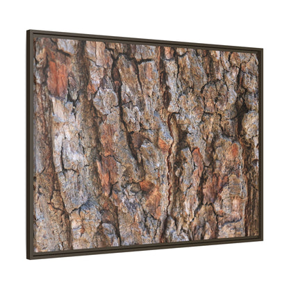 Tree's Timeworn Tale - Unique Stretched Canvas Wall Art - Art By Earth