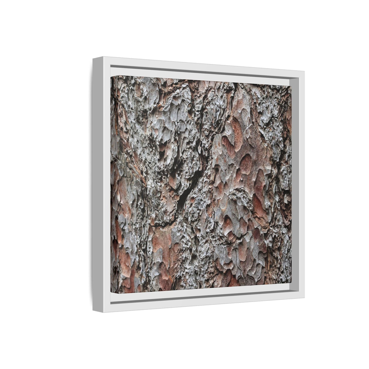 Bark Texture Symphony - Unique Stretched Canvas Wall Art - Art By Earth