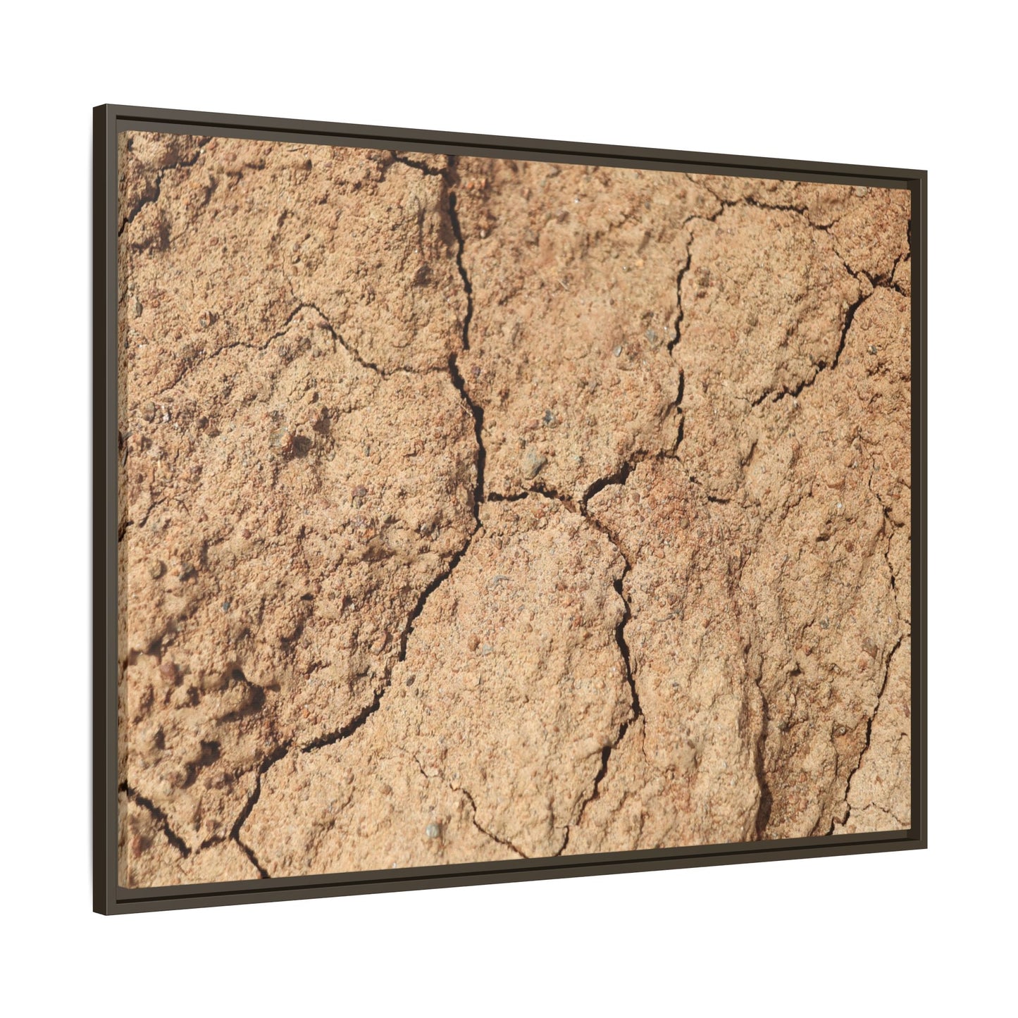 Parched Land - Unique Stretched Canvas Wall Art - Art By Earth