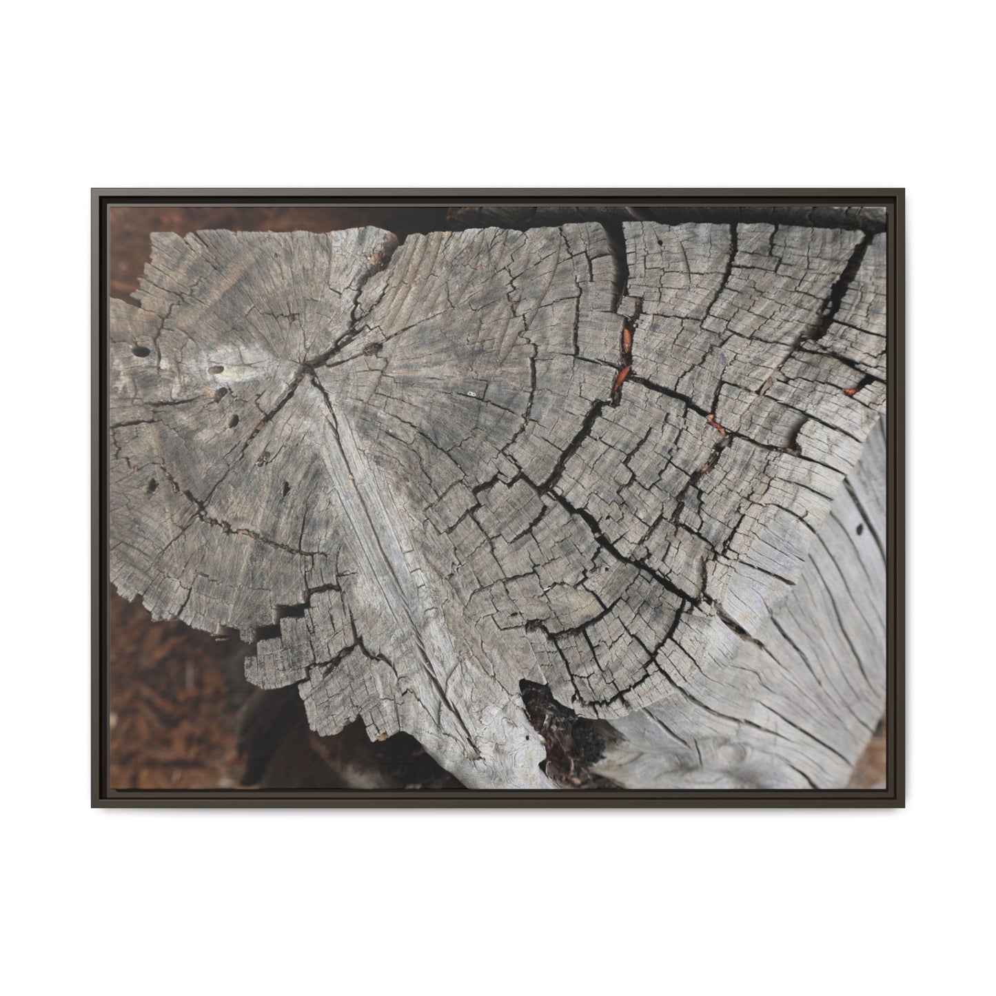 Time's Signature - Unique Stretched Canvas Wall Art - Art By Earth