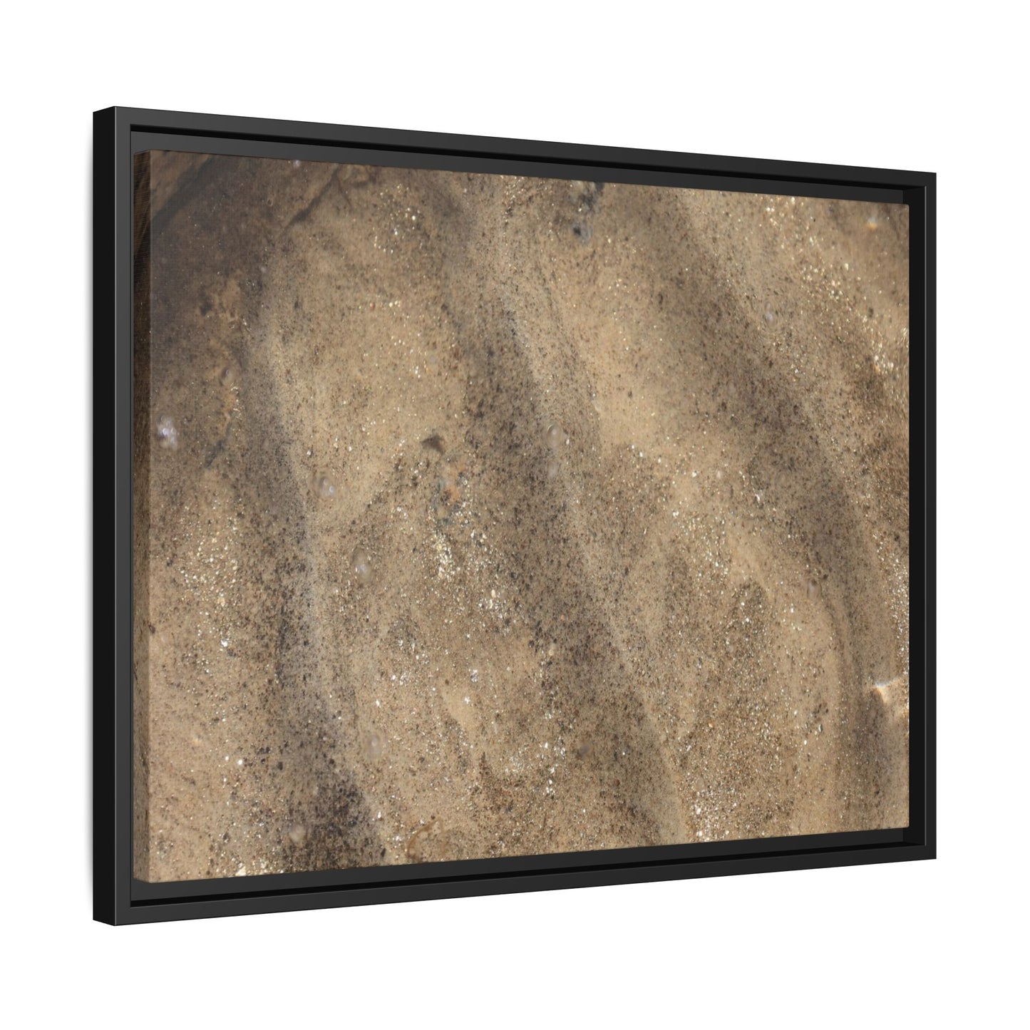 Tidal Pool Secrets - Unique Stretched Canvas Wall Art - Art By Earth