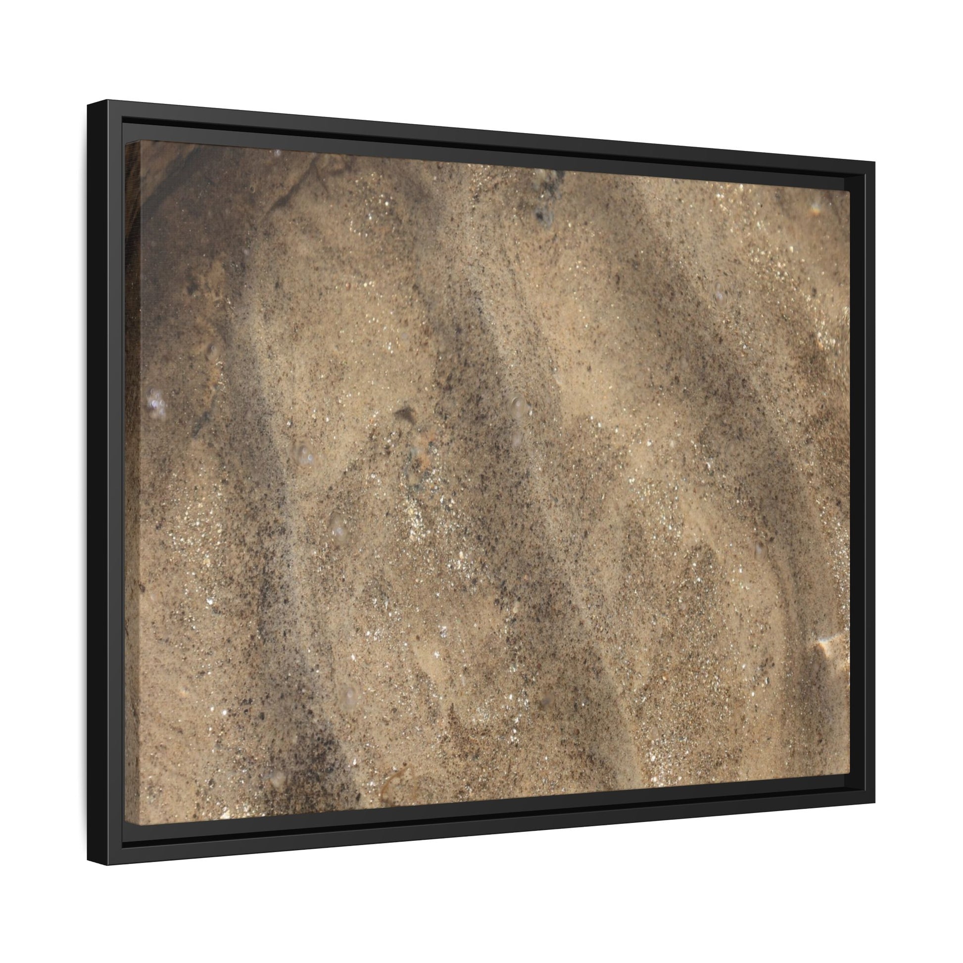 Tidal Pool Secrets - Unique Stretched Canvas Wall Art - Art By Earth