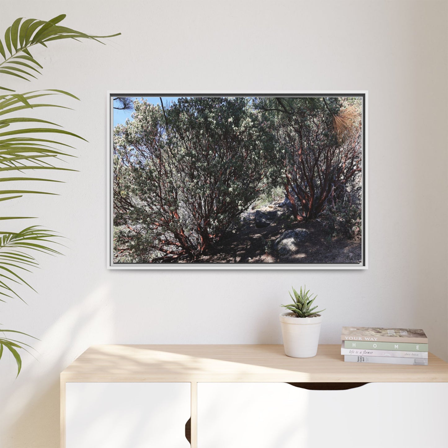 Desert Trail Through Blooming Manzanita - Unique Stretched Canvas Wall Art