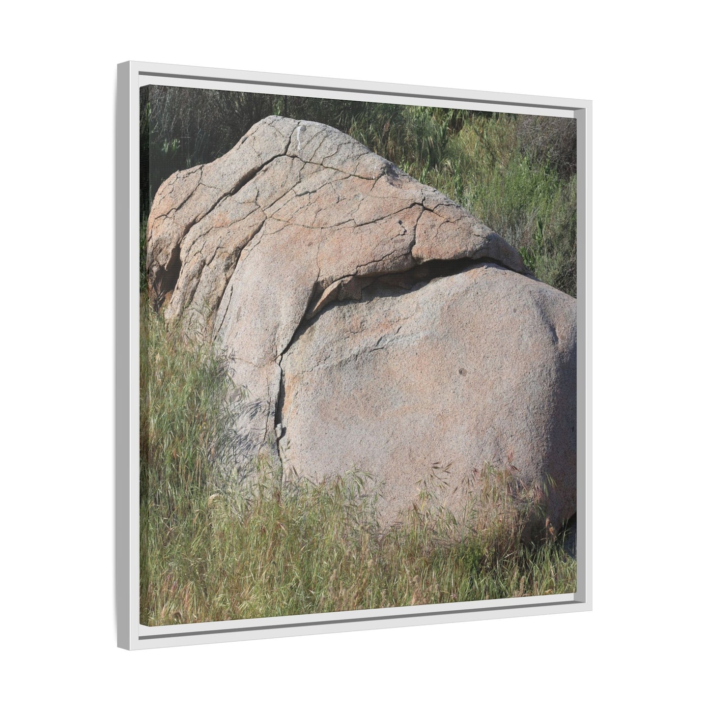 Stone Head Emerging from Earth - Unique Stretched Canvas Wall Art - Art By Earth