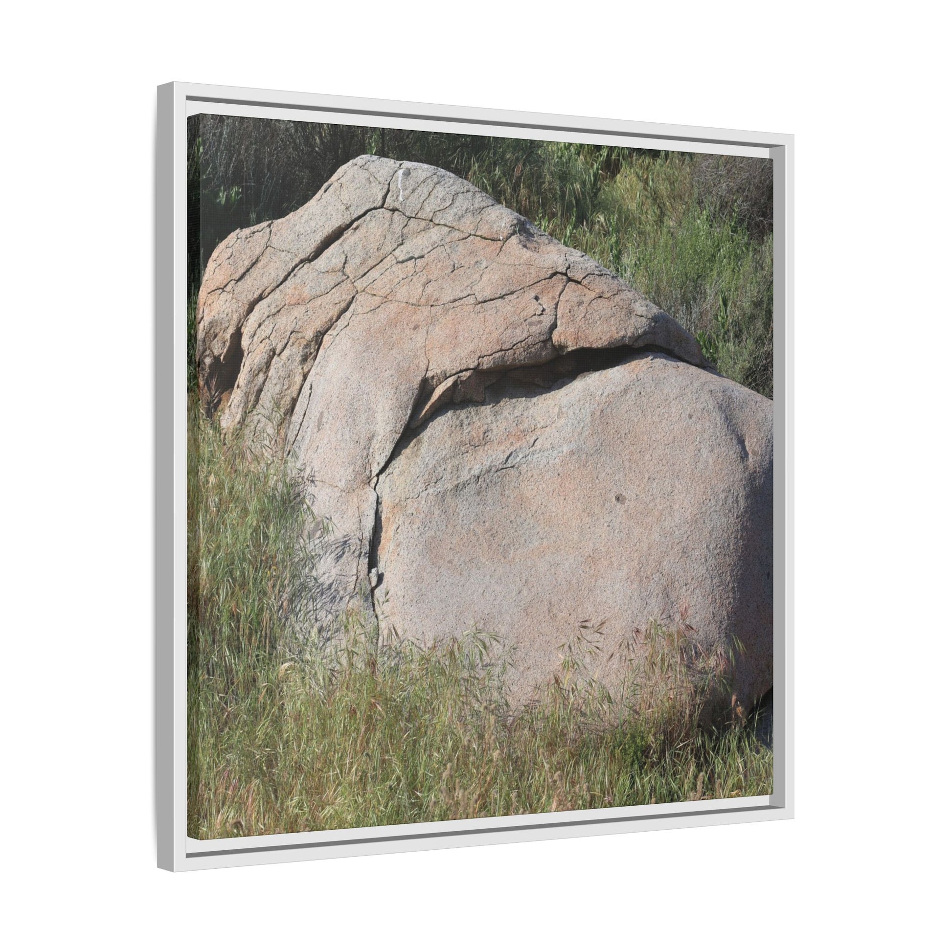 Stone Head Emerging from Earth - Unique Stretched Canvas Wall Art - Art By Earth