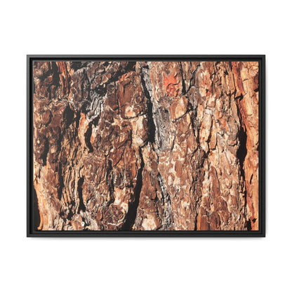 Nature's Rugged Canvas - Unique Stretched Canvas Wall Art