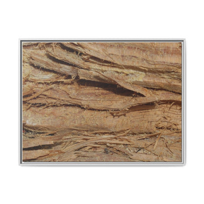 Splintered Bark - Unique Stretched Canvas Wall Art - Art By Earth