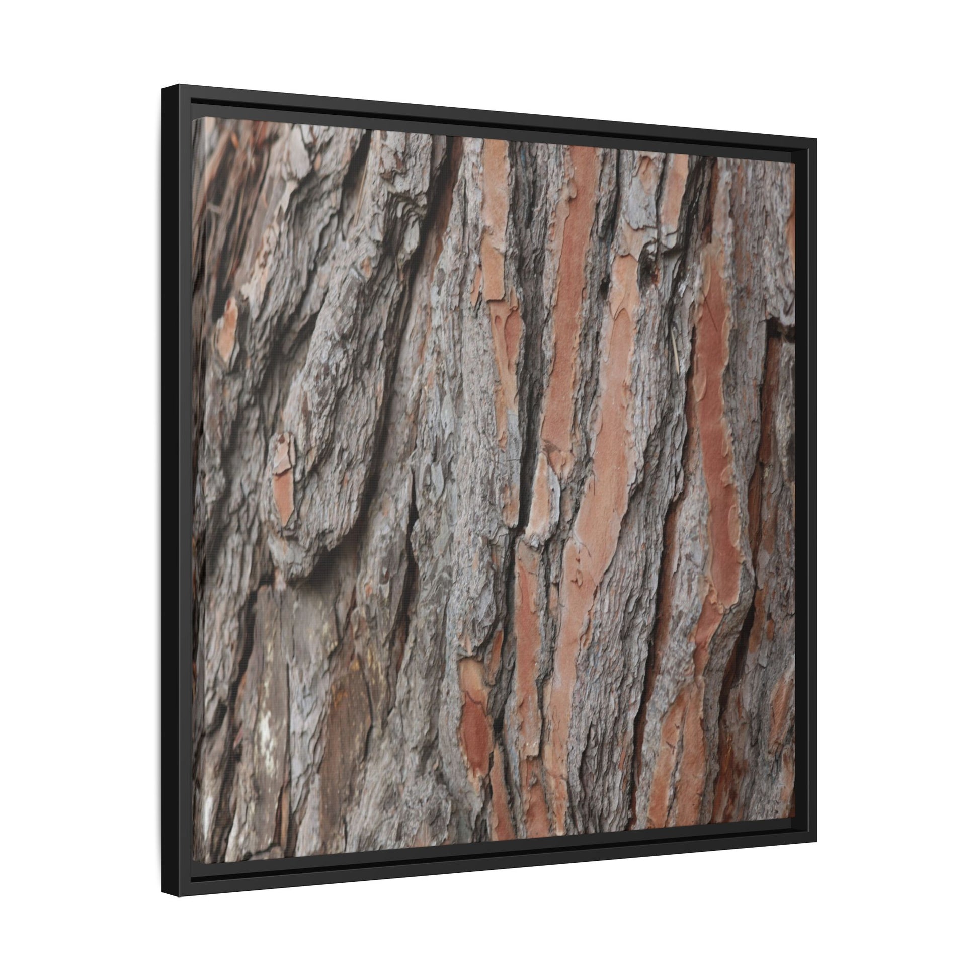 Woodland Layers - Unique Stretched Canvas Wall Art - Art By Earth