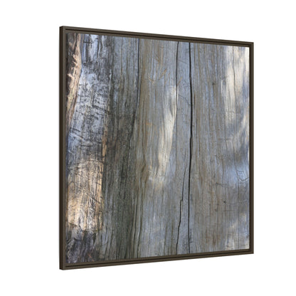 Cracked Timber Texture - Unique Stretched Canvas Wall Art