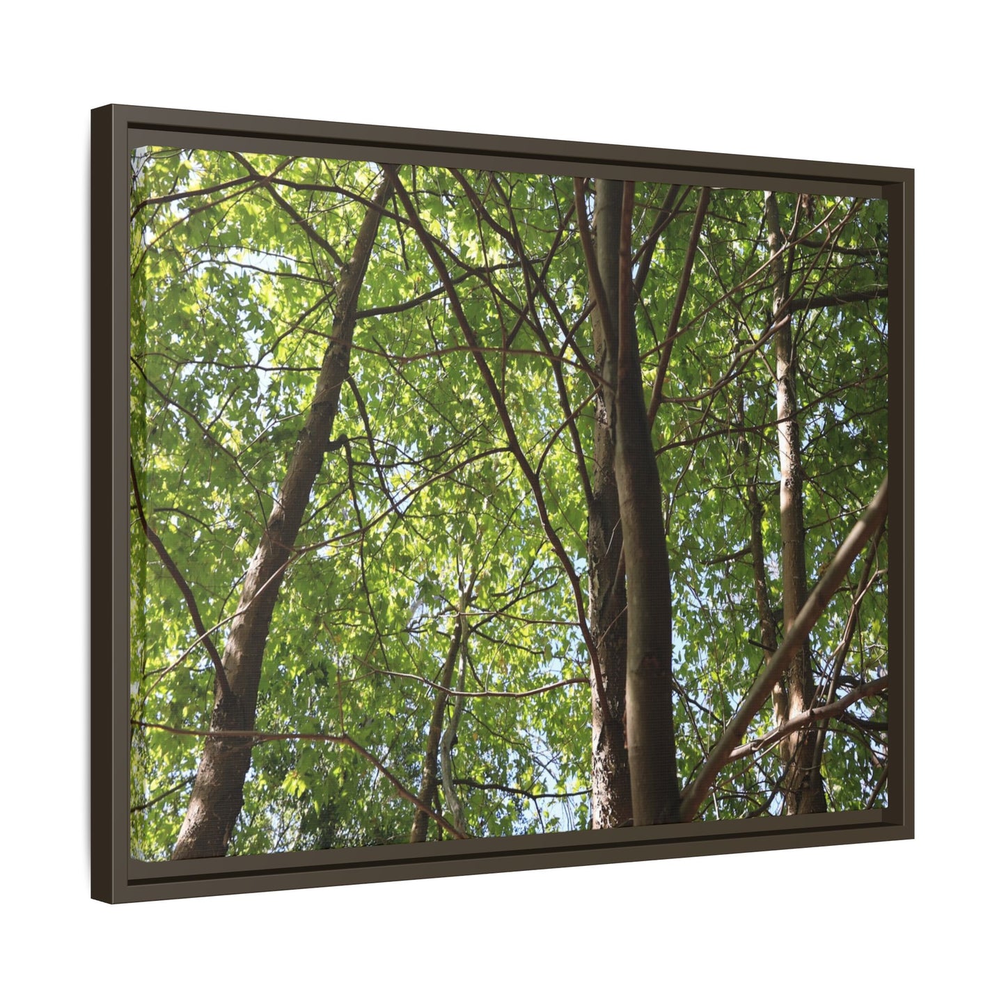 Forest Branches - Unique Stretched Canvas Wall Art