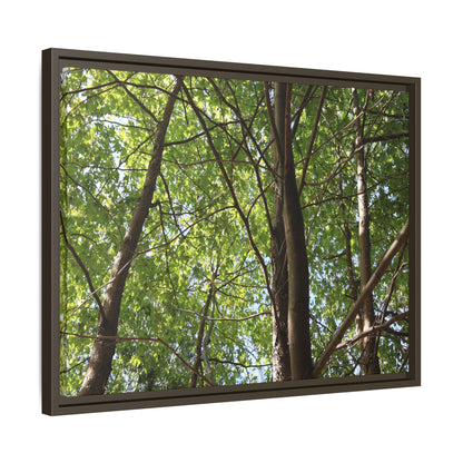 Forest Branches - Unique Stretched Canvas Wall Art