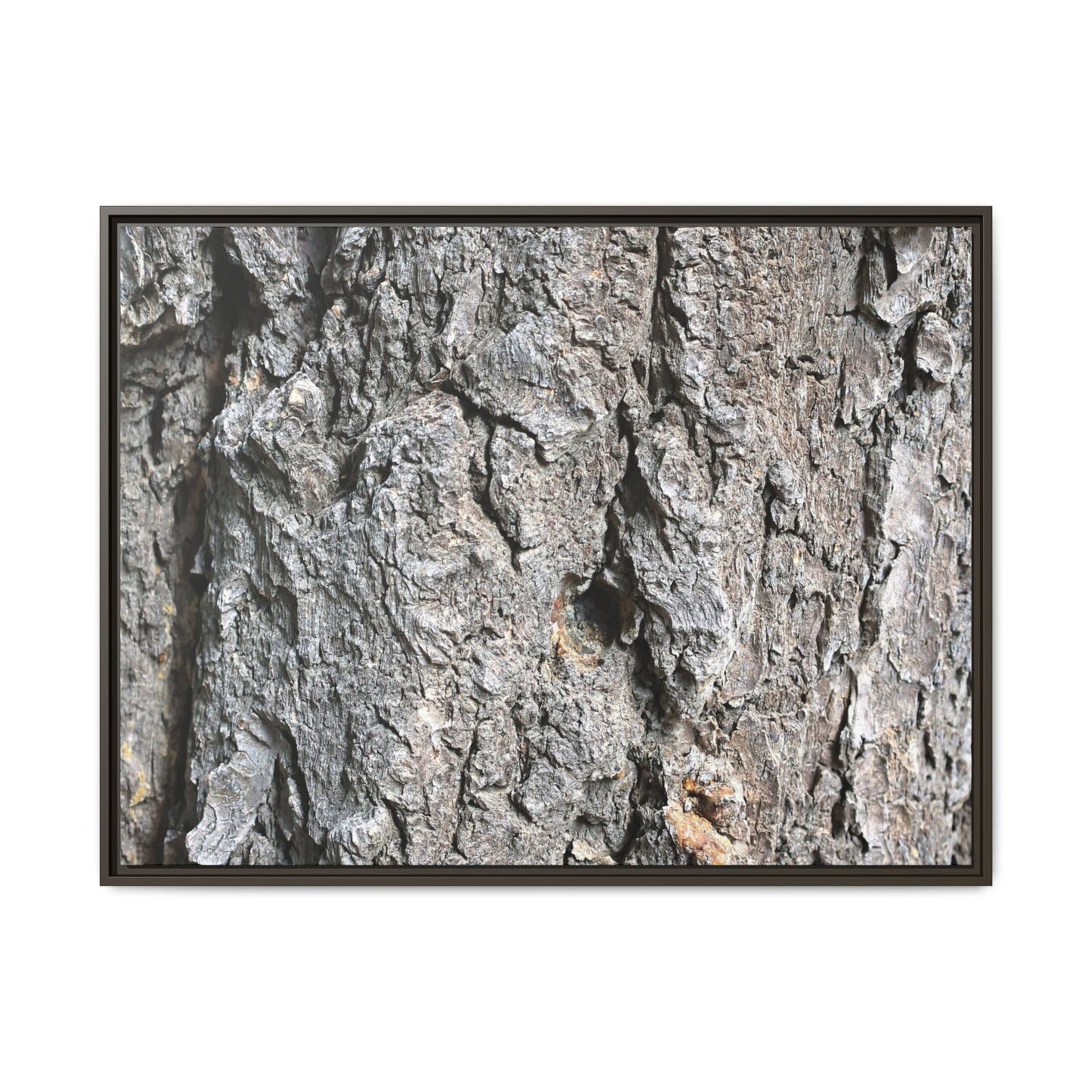 Crusty Exterior - Unique Stretched Canvas Wall Art - Art By Earth