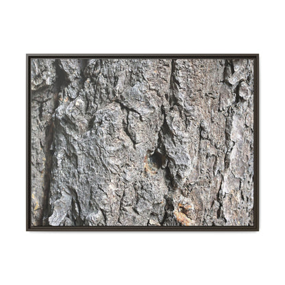 Crusty Exterior - Unique Stretched Canvas Wall Art - Art By Earth