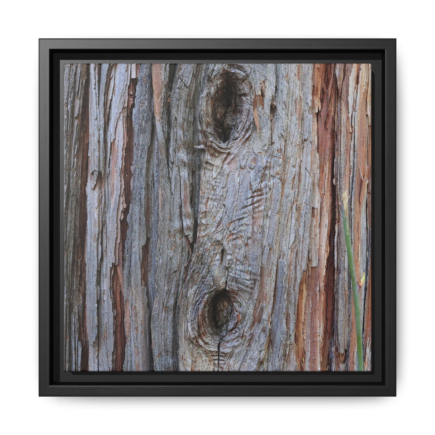 Knotty Nature - Unique Stretched Canvas Wall Art - Art By Earth