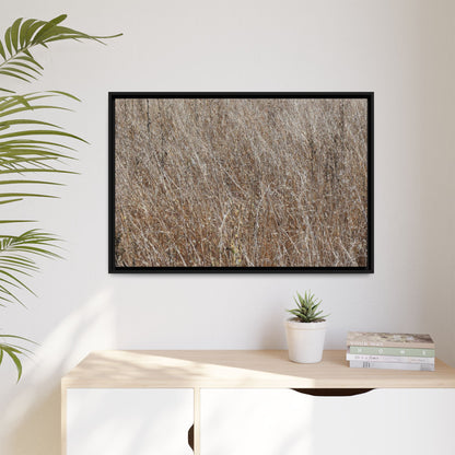 Whispers of Autumn - Unique Stretched Canvas Wall Art - Art By Earth