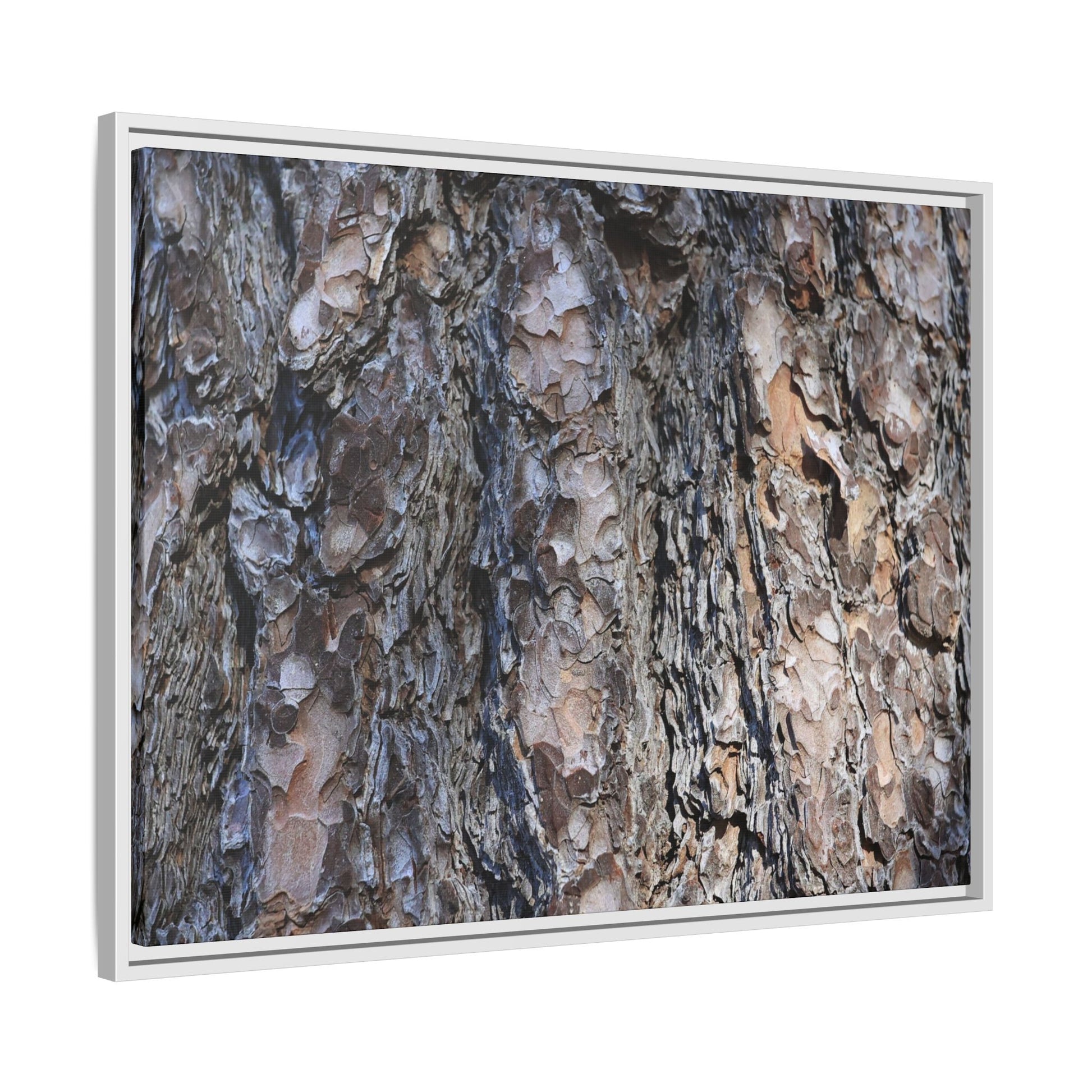 Weathered Patterns - Unique Stretched Canvas Wall Art - Art By Earth