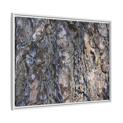 Weathered Patterns - Unique Stretched Canvas Wall Art - Art By Earth