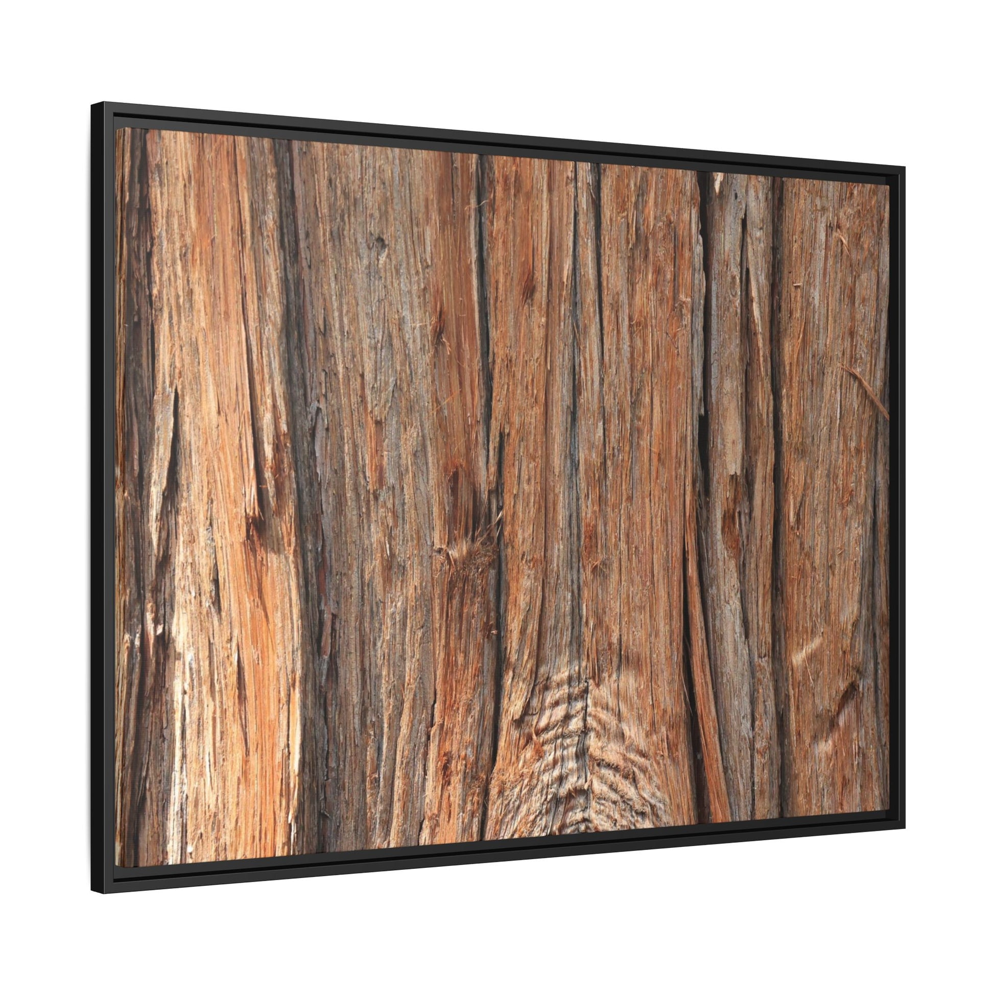 Echoes of Timber - Unique Stretched Canvas Wall Art - Art By Earth