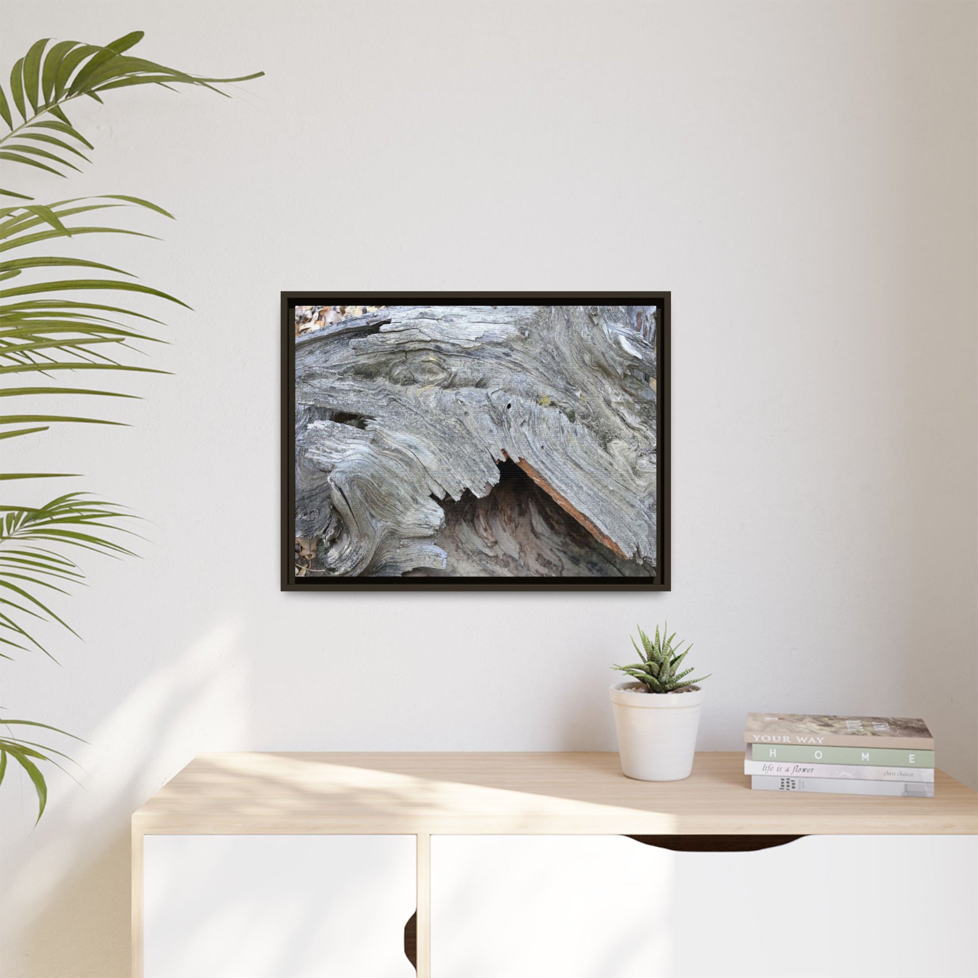 Driftwood Dreams - Unique Stretched Canvas Wall Art - Art By Earth