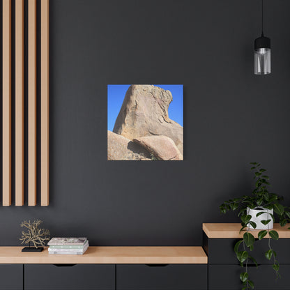 Boulder's Embrace - Unique Frameless Canvas Wall Art - Art By Earth