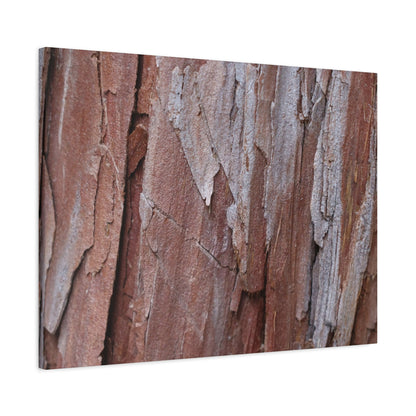 Peeling Paint - Unique Frameless Canvas Wall Art - Art By Earth