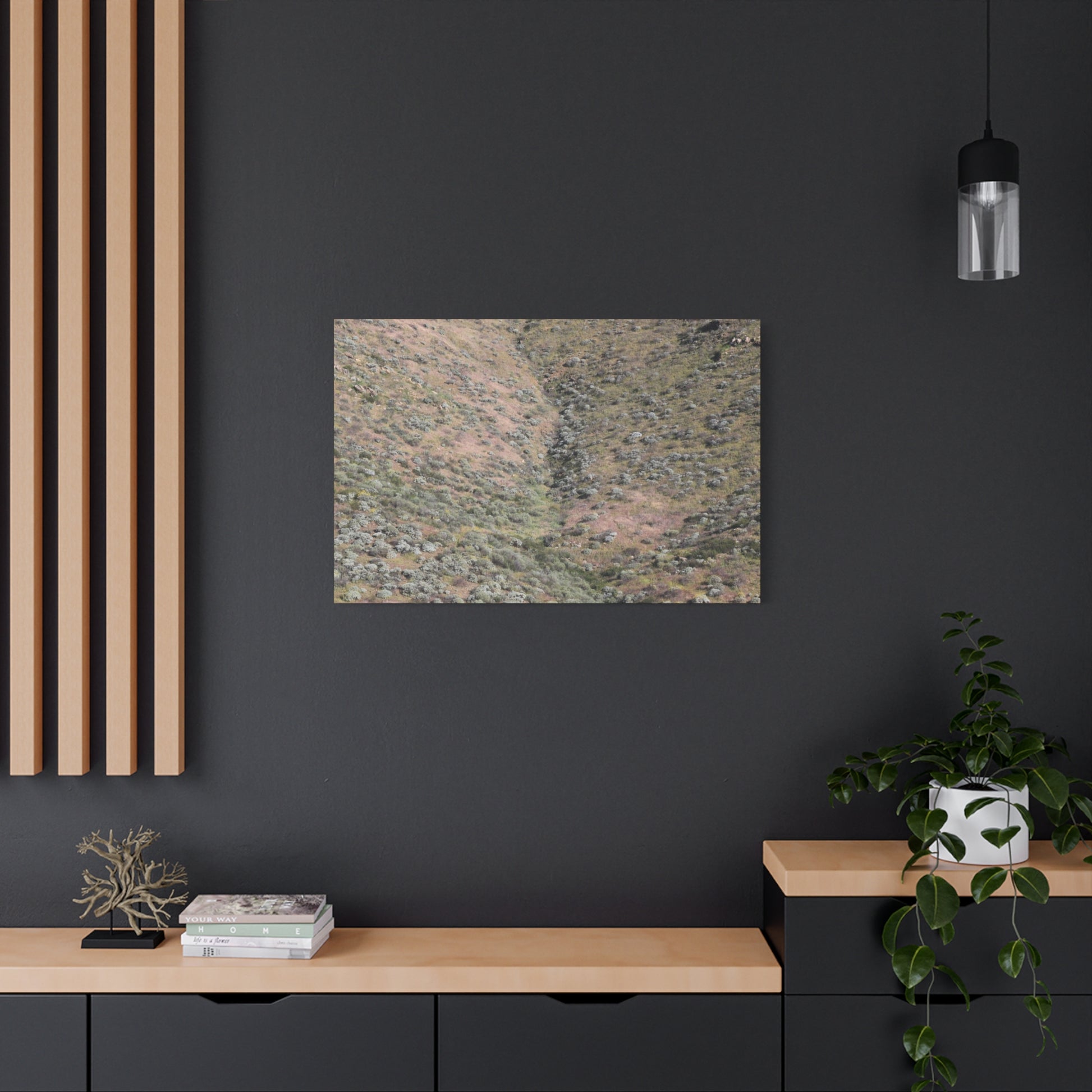Desert Hillside - Unique Frameless Canvas Wall Art - Art By Earth