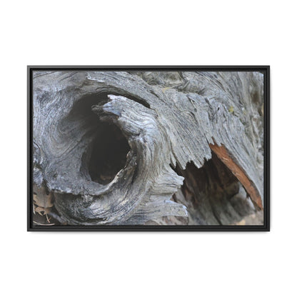 Bark's Labyrinth - Unique Stretched Canvas Wall Art - Art By Earth