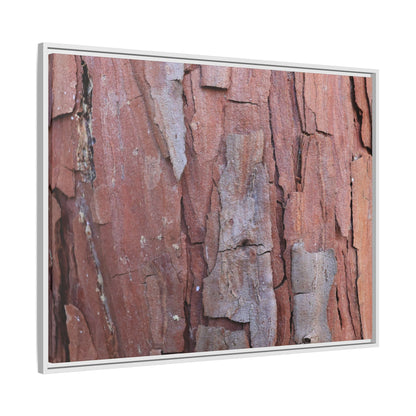 Peeling Bark - Unique Stretched Canvas Wall Art - Art By Earth
