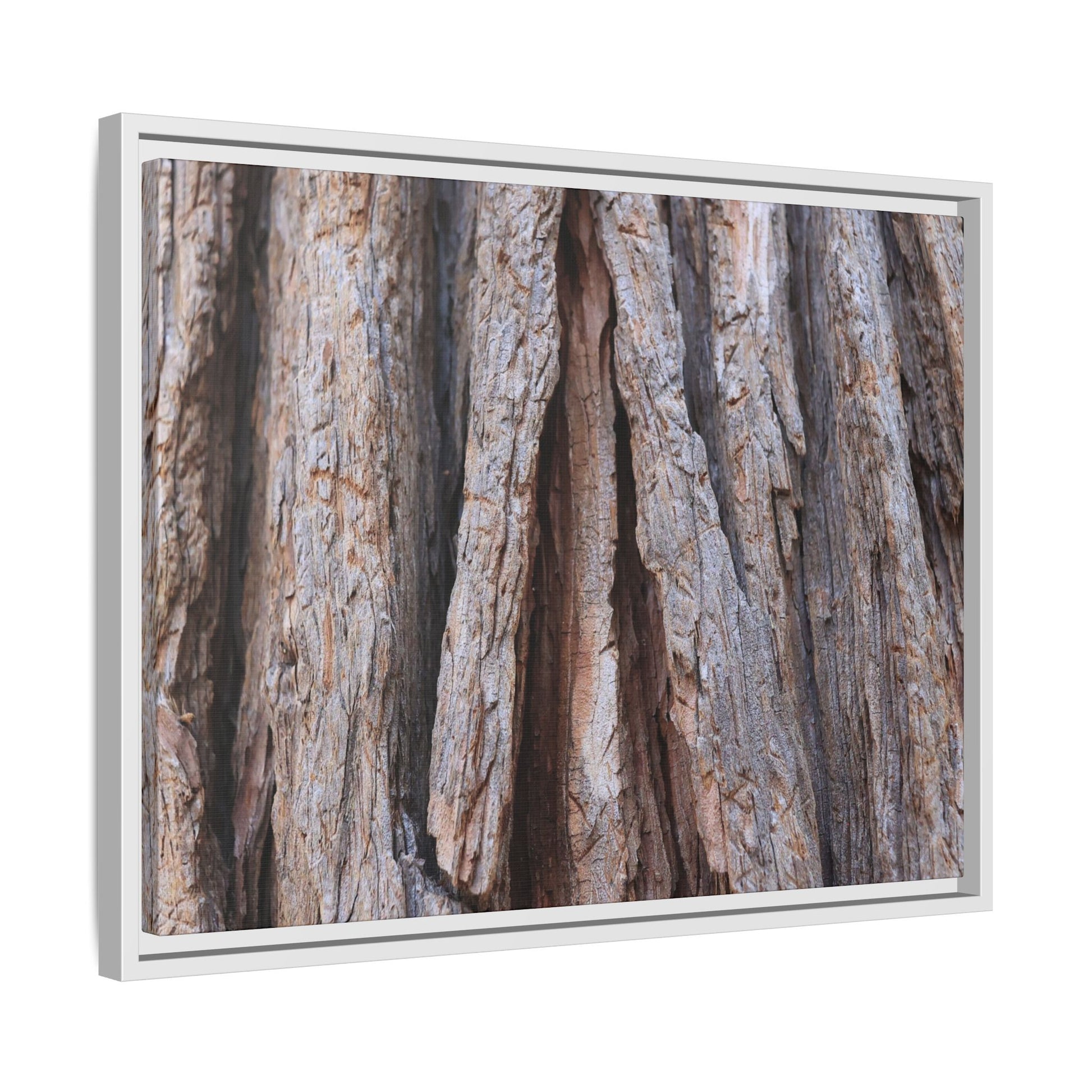 Nature's Sculpture - Unique Stretched Canvas Wall Art - Art By Earth