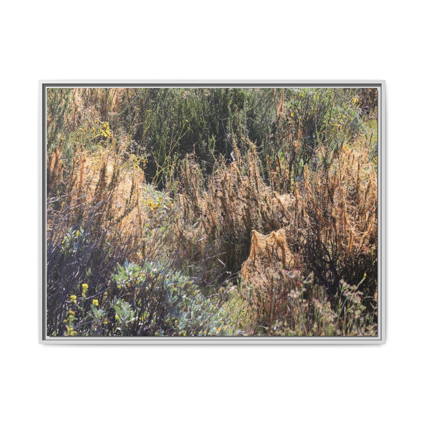 Drought-Stricken Landscape - Unique Stretched Canvas Wall Art - Art By Earth