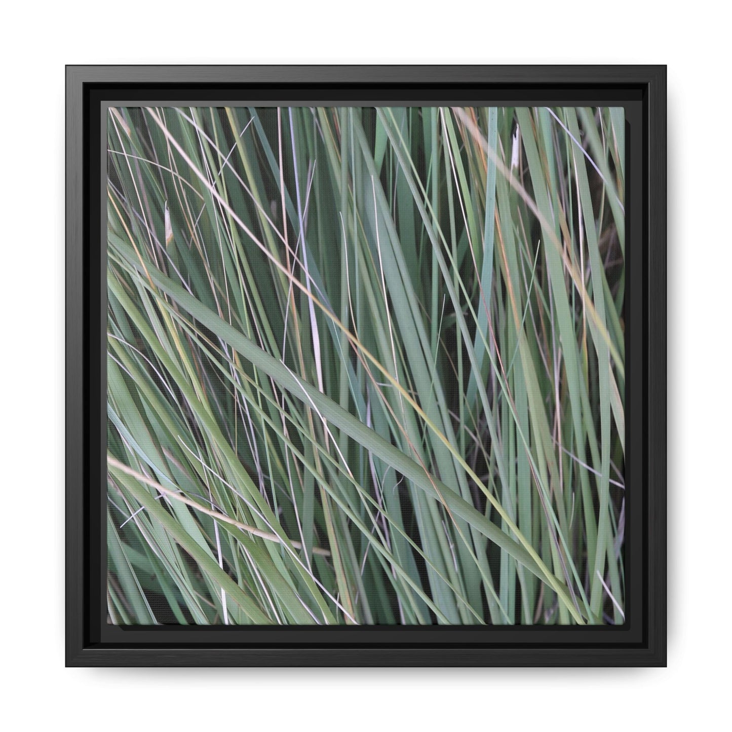Grassland Symphony - Unique Stretched Canvas Wall Art - Art By Earth