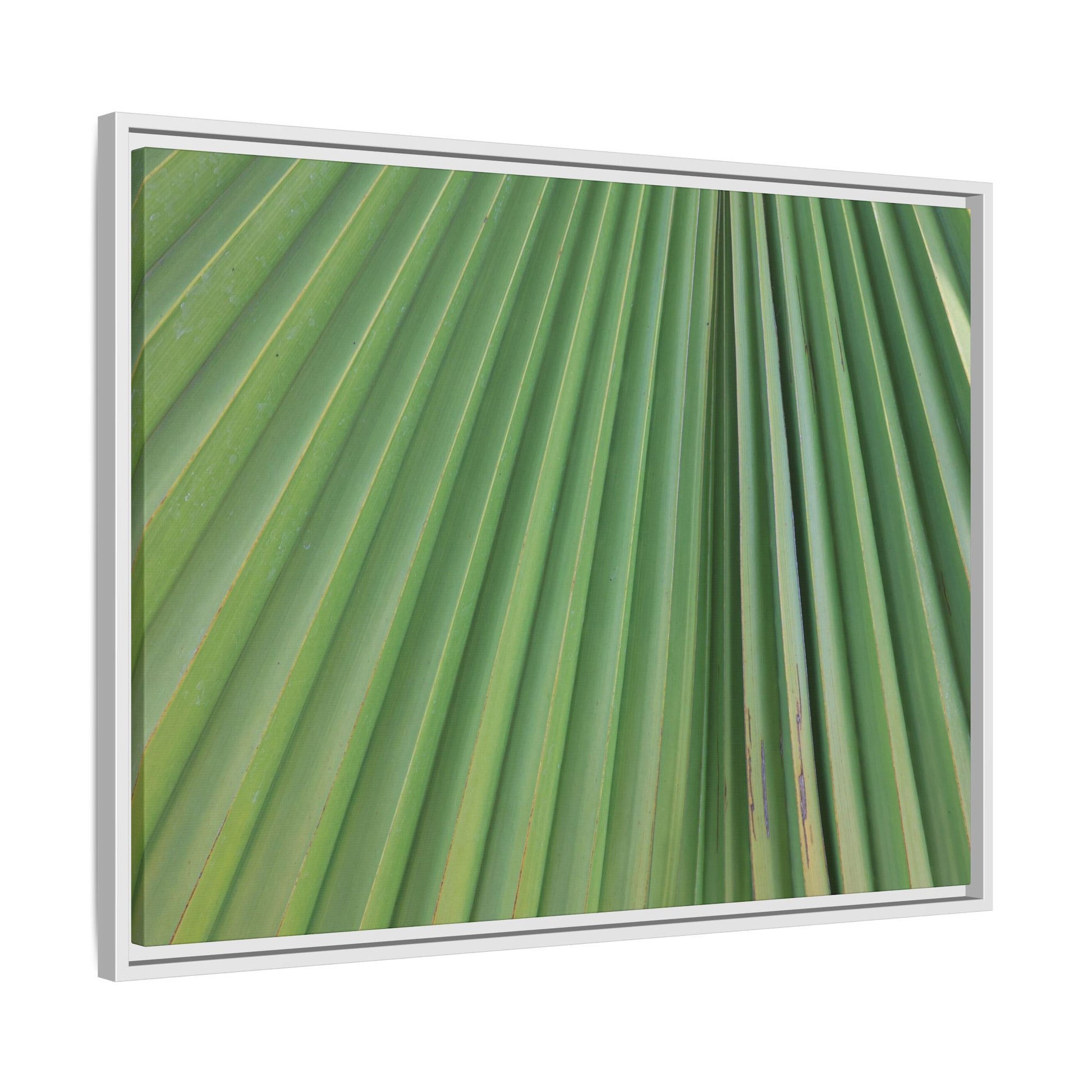 Emerald Rays - Unique Stretched Canvas Wall Art - Art By Earth