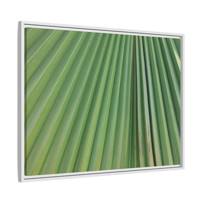 Emerald Rays - Unique Stretched Canvas Wall Art - Art By Earth