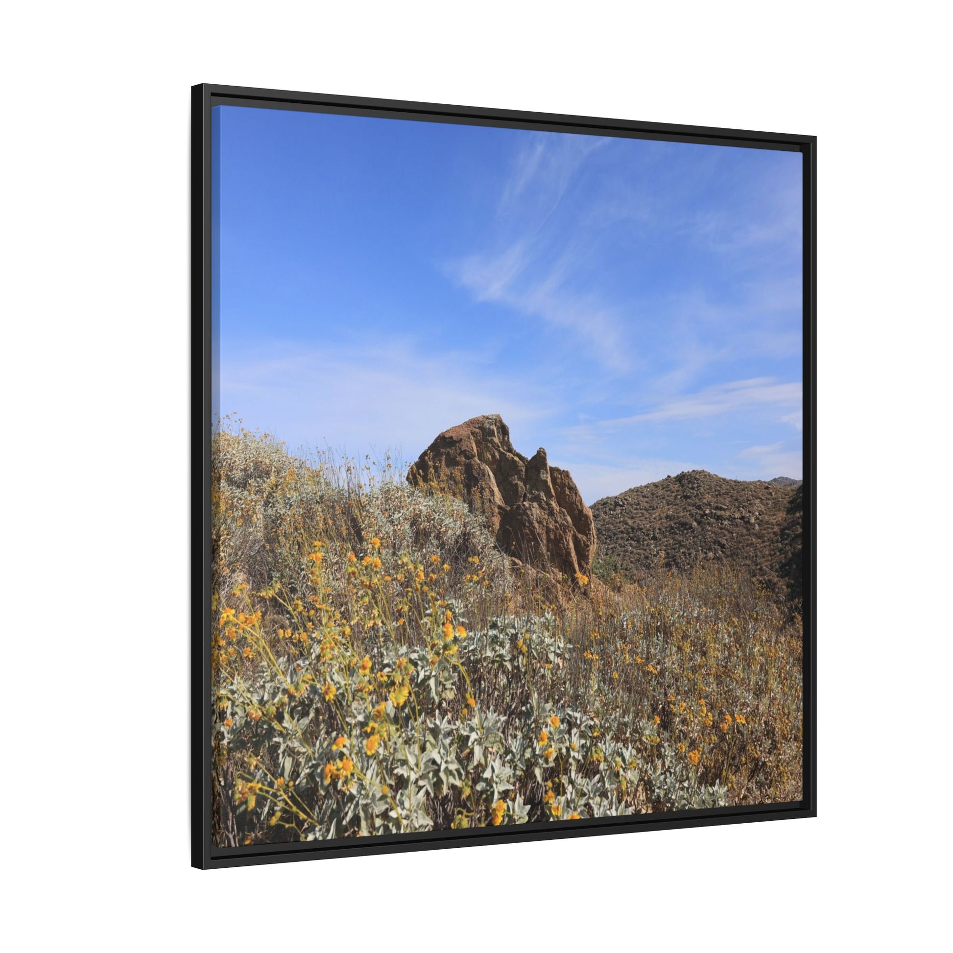 Golden Flowers in Arid Landscape - Unique Stretched Canvas Wall Art - Art By Earth